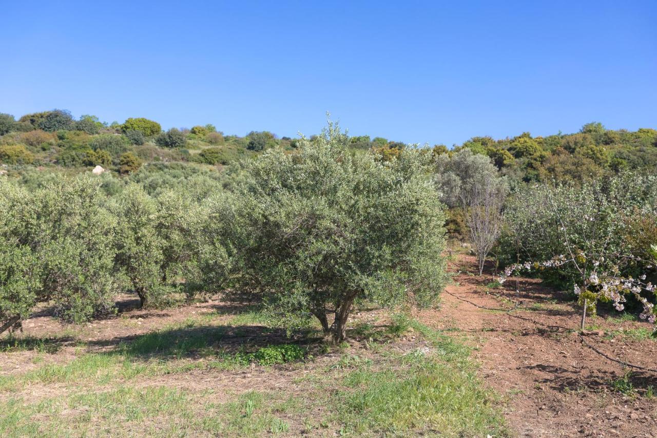 Вилла Eden'S Garden Скулуфия Экстерьер фото