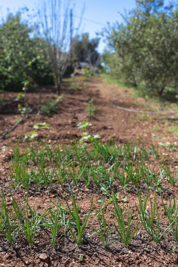 Вилла Eden'S Garden Скулуфия Экстерьер фото