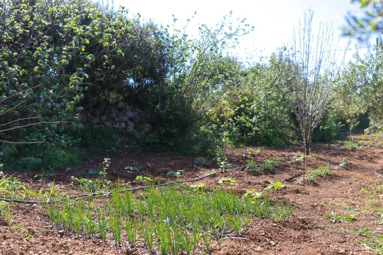 Вилла Eden'S Garden Скулуфия Экстерьер фото