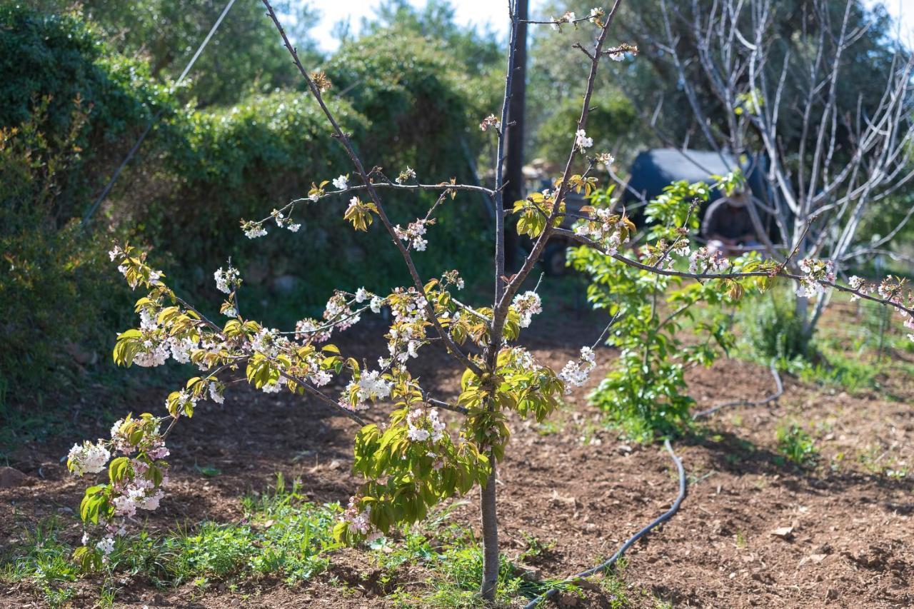 Вилла Eden'S Garden Скулуфия Экстерьер фото